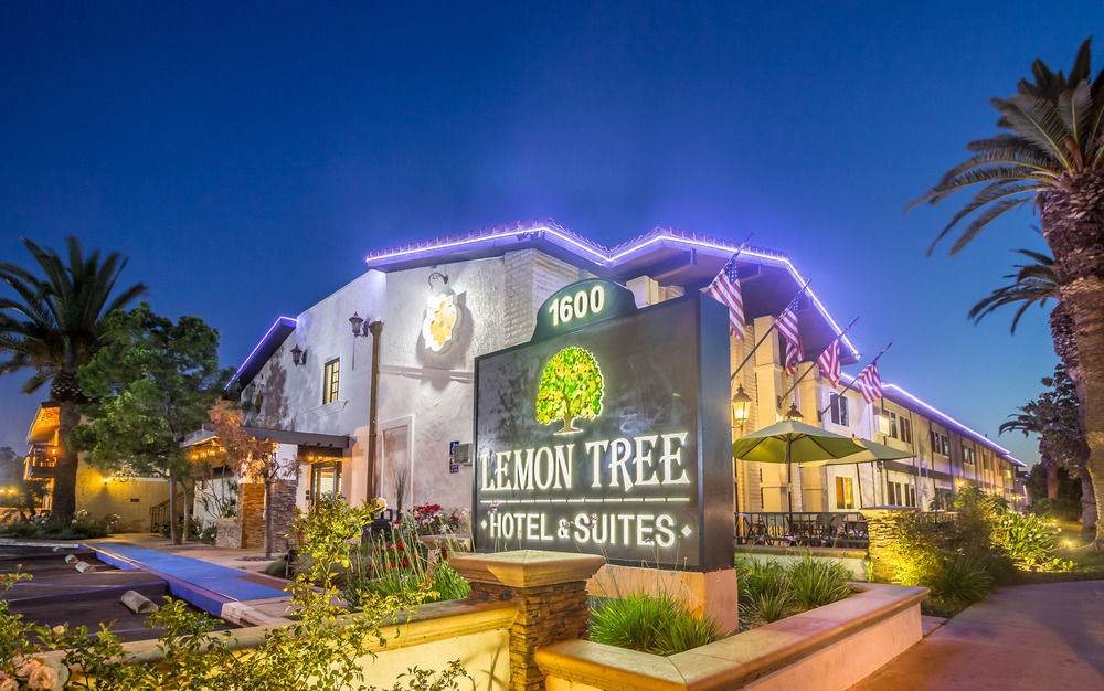 The Lemon Tree Hotel image 1